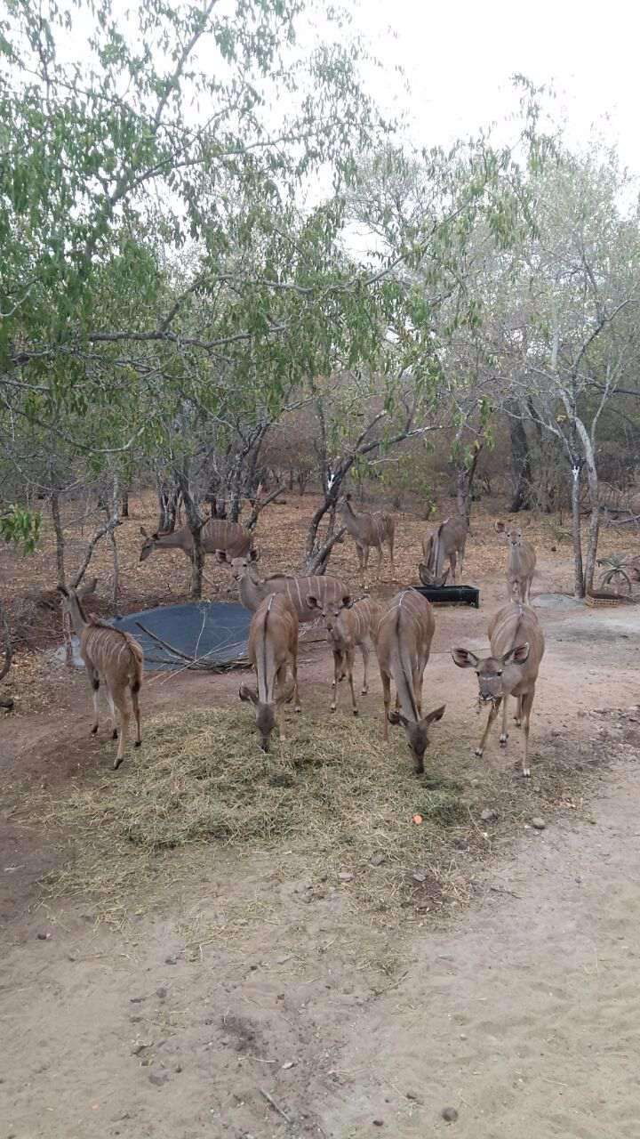 Ukweza Guest House